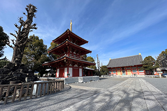 中野坂上駅「宝仙寺」