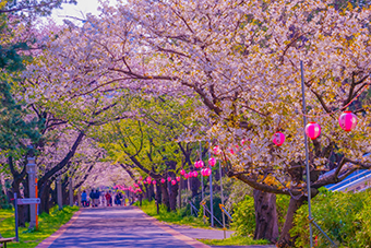 辰巳駅「辰巳の森緑道公園」