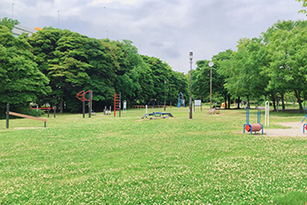 辰巳駅「辰巳の森緑道公園」