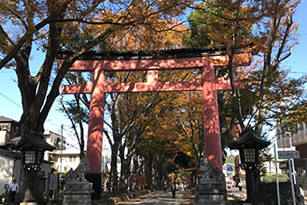 大宮駅「武蔵一宮　氷川神社」