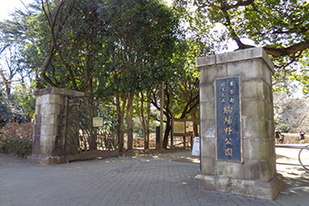 駒場東大前駅「駒場野公園」