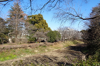 駒場東大前駅「駒場野公園」