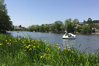 石神井公園駅「石神井公園」