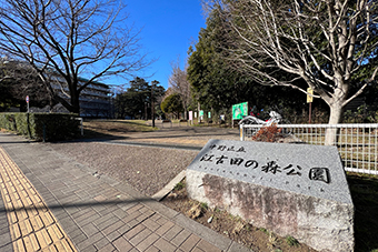 新江古田駅「中野区立江古田の森公園」