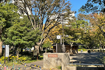 西早稲田駅「戸山公園の箱根山」