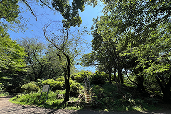 西早稲田駅「戸山公園の箱根山」