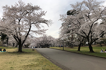 稲荷山公園駅「埼玉県営 狭山稲荷山公園」