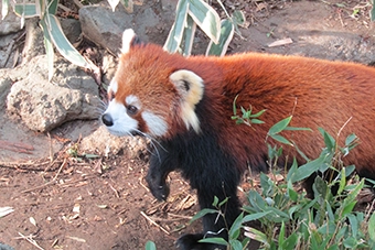 西葛西駅「江戸川区自然動物園」