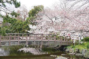 綾瀬駅「東綾瀬公園」