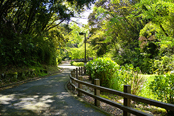 衣笠駅「衣笠山公園」