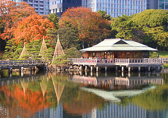 hamamatsucho_B_hamarikyu_02 (1).jpg