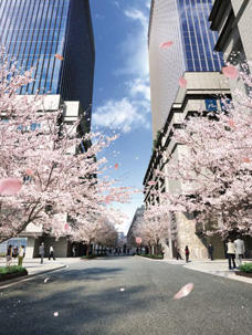 江戸桜通り(イメージパース)