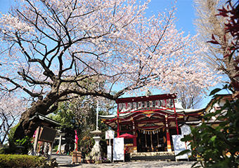 居木神社