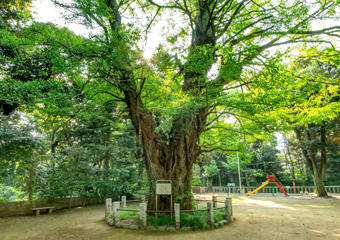 roppongi_C_akasaka_02_linetouka.jpg